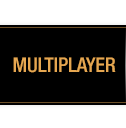 Multiplayer