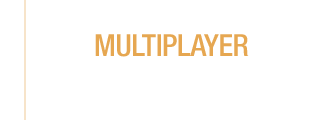 MULTIPLAYER