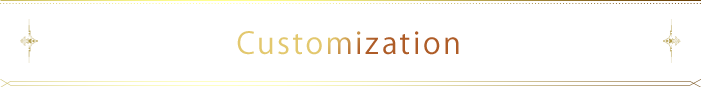 Customization