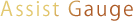 Assist Gauge