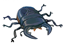 Character Image