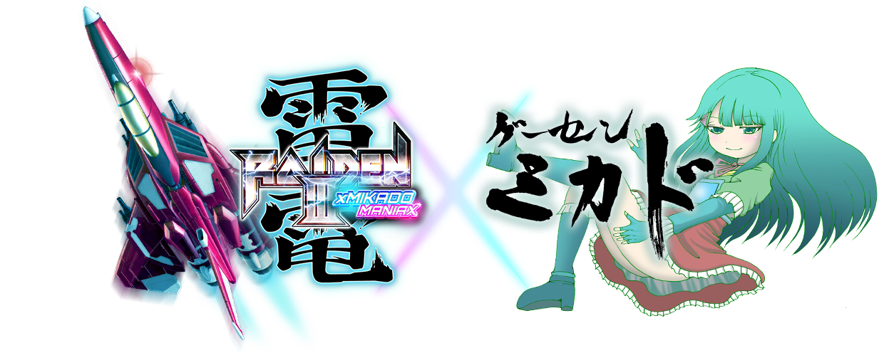 raiden x game center mikado