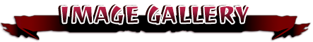 Image Gallery